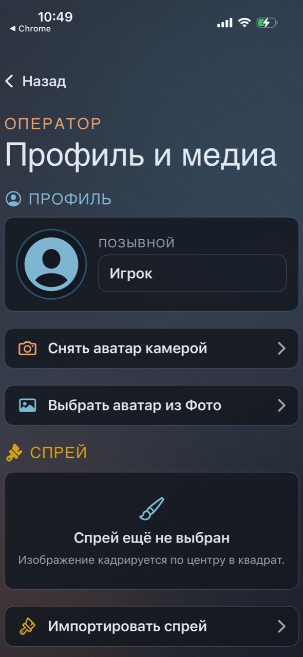 Профиль: позывной, аватар с камеры или из галереи, импорт спрея